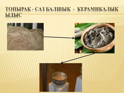 Жыныстық тізгін