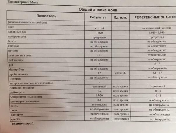 Моча эритроциты норма у женщин по возрасту. Эритроциты в моче норма в ОАМ. Эритроциты в моче 25 кл/мкл. Общий анализ мочи эритроциты измененные норма. Эритроциты в моче в поле зрения норма.