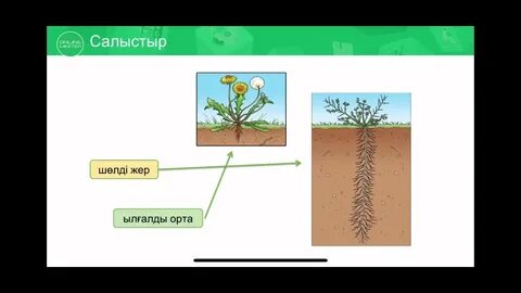 Юбканы көтеретін GIF суреттері