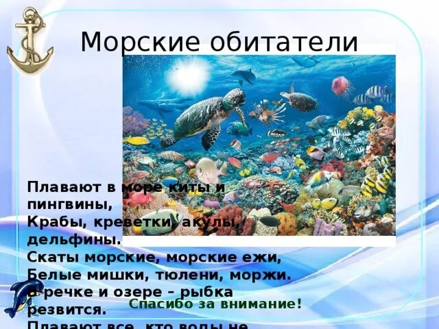 Море презентация для детей. Морские обитатели презентация. Обитатели морей и океанов презентация. Морские обитатели презентация для дошкольников. Обитатели водоемов морей и океанов.