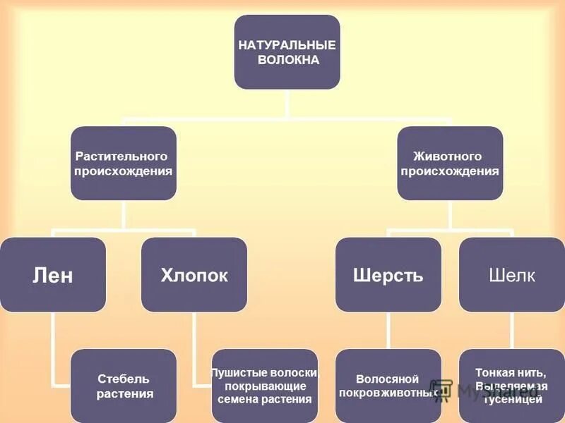 тест волокна растительного происхождения 5 класс