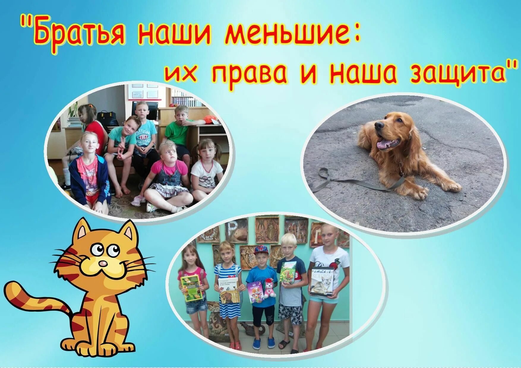 Защита братьев меньших