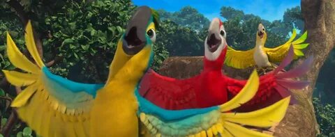 Rio video