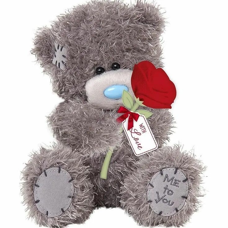 Тедди 8. Тедди беа. Медвежонок Тедди. Медвежонок Тедди с цветами. Мишка Тедди с цветочком.