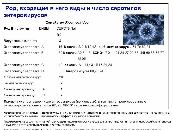 Энтеровирусная инфекция анализы для выявления. Вирус Коксаки антигенная структура. ПЦР на энтеровирусную инфекцию. Вирусы рода enterovirus. Обследование на энтеровирусные инфекции