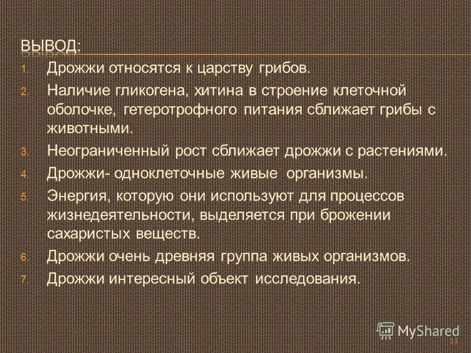 дрожжи. дрожжи относятся. "дрожжи в природе". хлебные дрожжи строение. дрожжи относят.