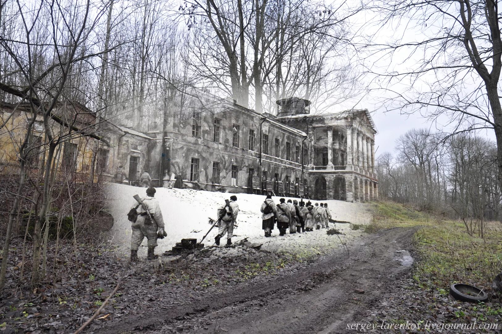 Ленинградская область в советское время. Ропшинский дворец 1944. Петергоф 1944. Ропшинский дворец Петергоф до войны. Ропша Петергоф.