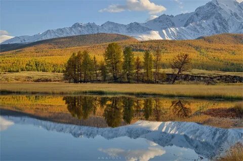 Зауралье алтай