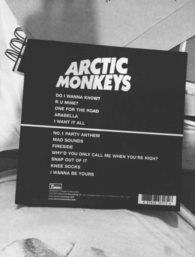 Кассеты Arctic Monkeys. Пластинка виниловая Arctic Monkeys. Вайб Arctic Monkeys. Arctic Monkeys концерт.