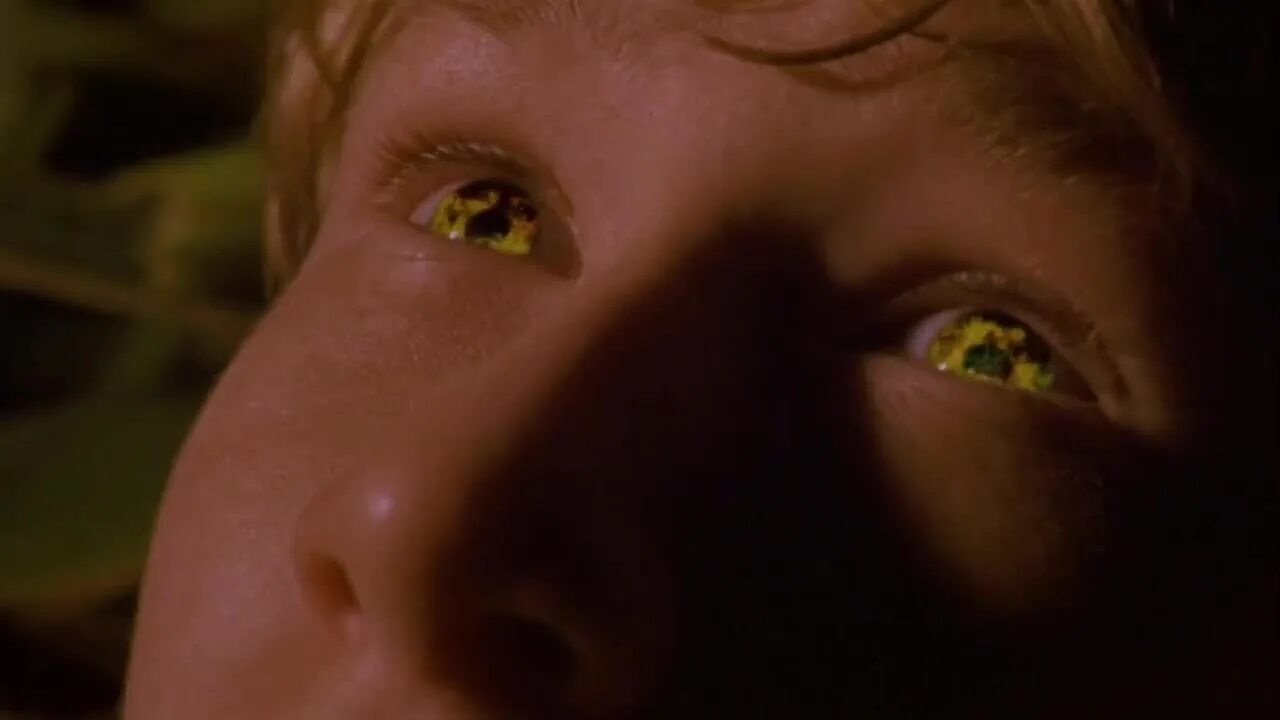 Поле страха. Дети кукурузы 5: поля страха фильм 1998. Поле страха. Дети кукурузы 5: поля страха ева мендес. Ева мендес дети кукурузы.