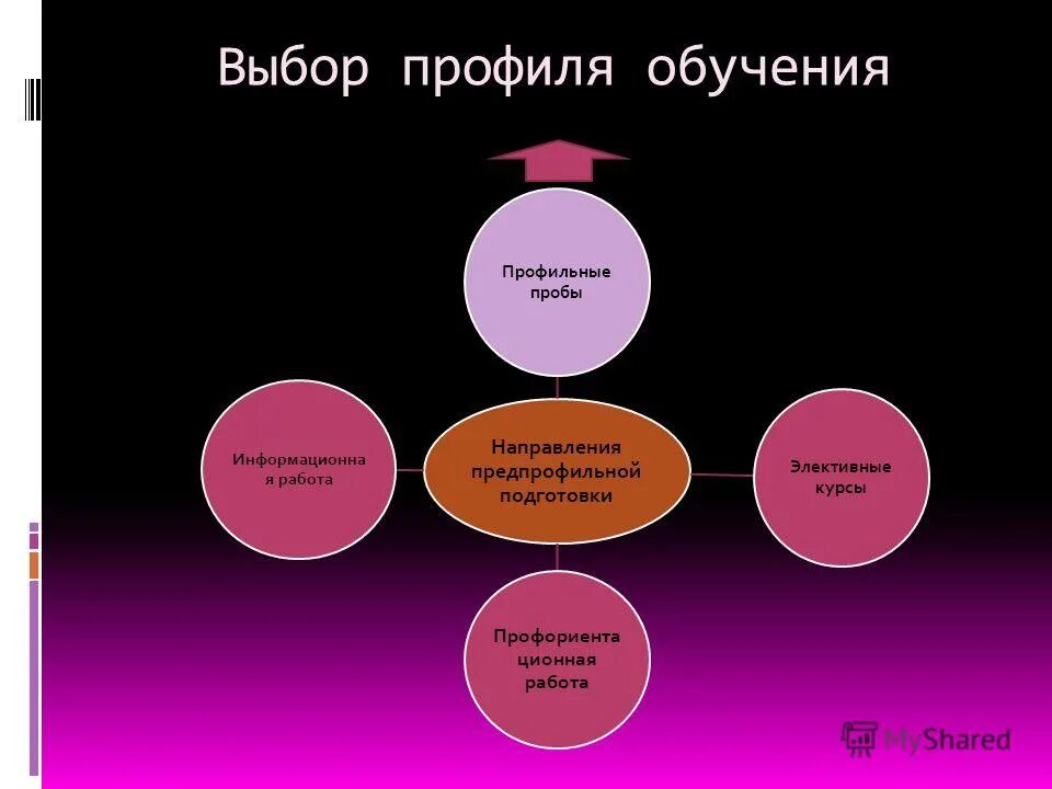 возможность выбора профиля обучения