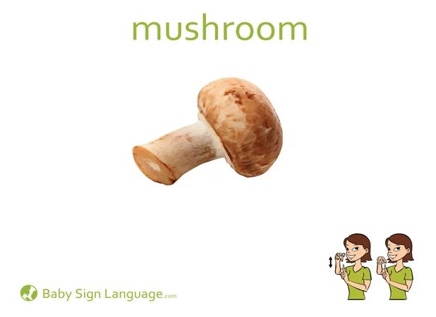 Mushroom Flashcard. Mushrooms Flashcards. Слово Mushroom карточка. Mushrooms English Card. Mushroom глагол