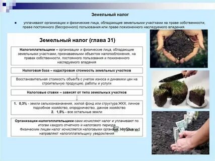 Земля без ндс