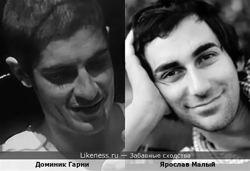 Доминик гарни актер. Доминик гарни фото. Доминик гарни. Доминик гарни актер. Доминик гарни.