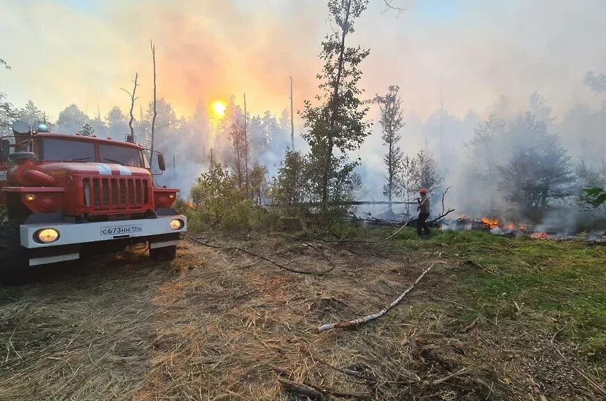 Лесные пожары в подмосковье. Пожар в камешковском районе вчера. Пожар в камешковском районе сегодня. Пожар в шатуре. Пожары за неделю.