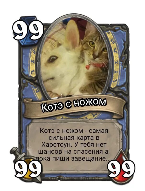 Карты мемов. Hearthstone карты. Карты мемы. Карточки Хартстоун. Карты с мемами.