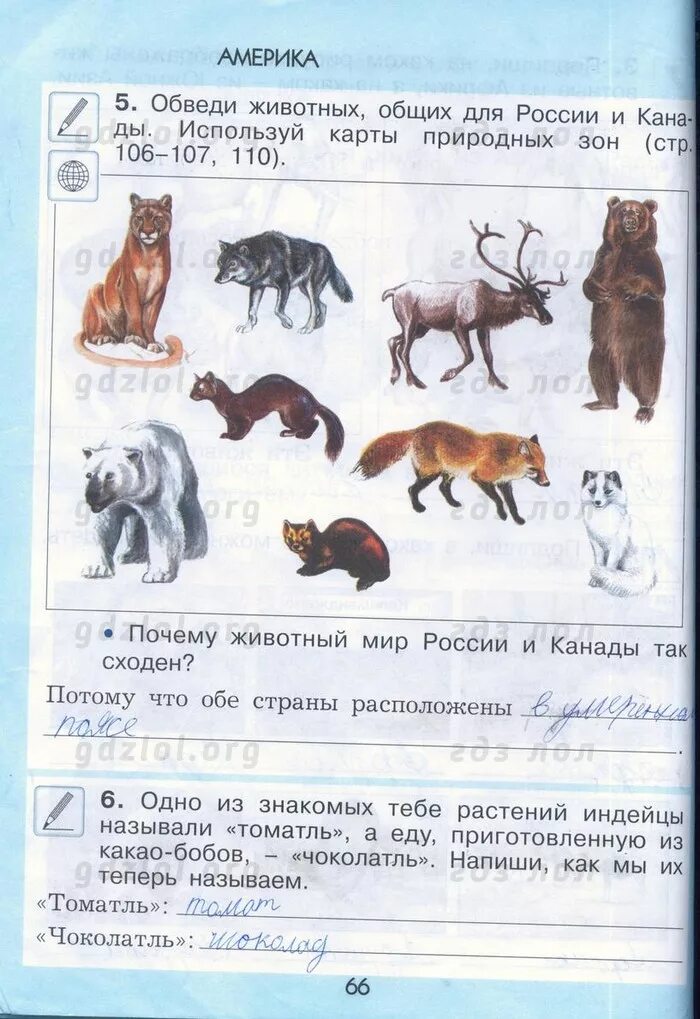 окружающий мир 2 класс рабочая тетрадь 1 часть плешаков стр 30. решебник по окружающий 2 класс рабочая тетрадь. вахрушев окружающий мир 2 класс рабочая тетрадь 2 ответы. решебник по окружающий 2 класс рабочая тетрадь. 1 класс.