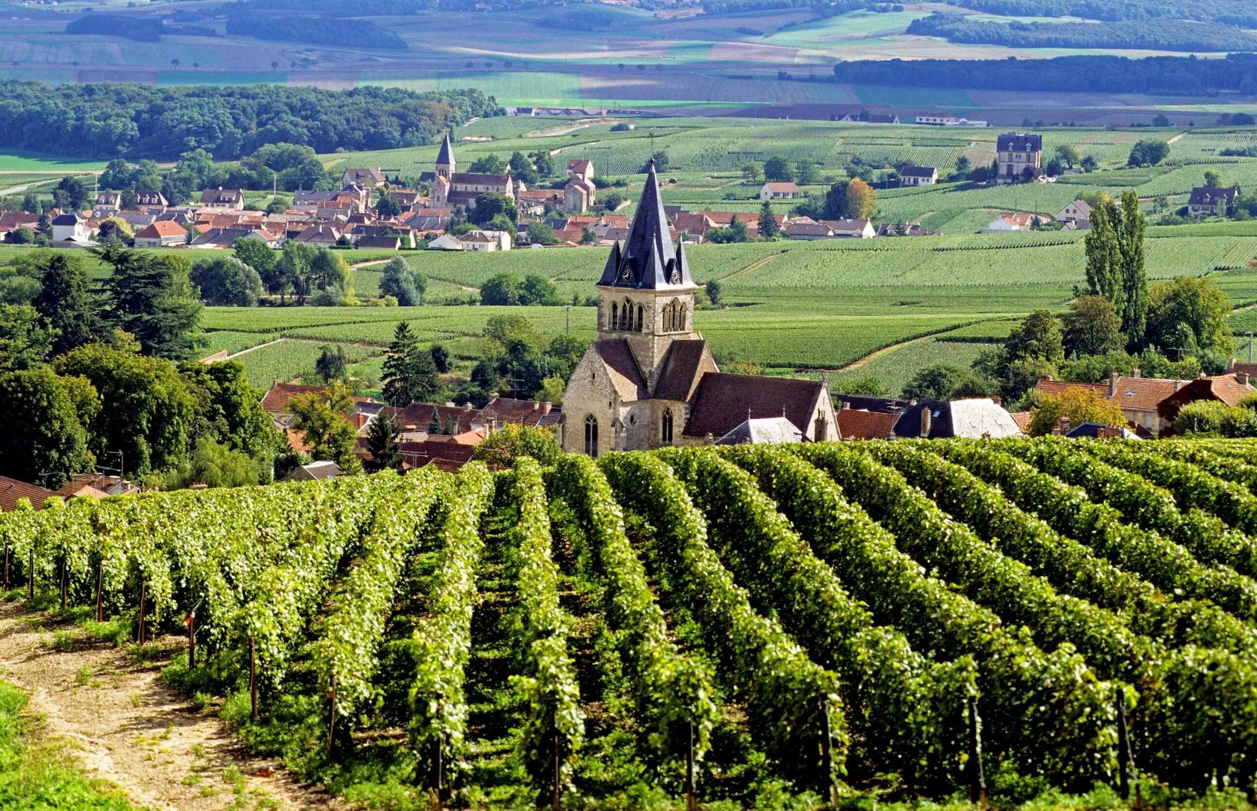 Нормандия шампань. Бургундия Франш Конте виноградники. Бургундия регион Франции. Бургундия-Франш-Конте Франция. Замки Бургундии Франш Конте.