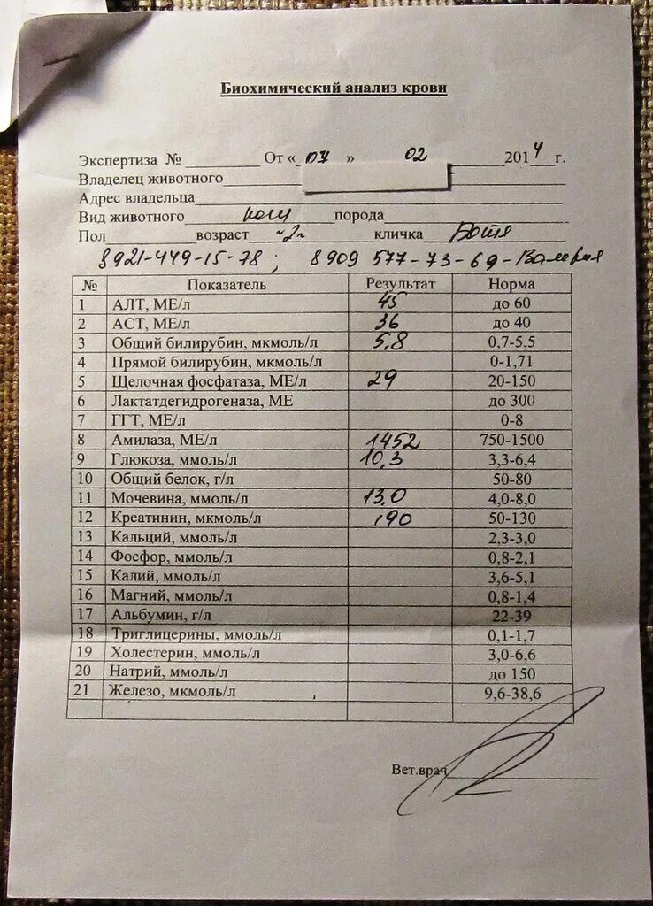 Анализ биохимия зачем. Результаты биохимического анализа крови. результаты биохимии крови расшифровка. биохимия крови человека показатели. биохимический анализ крови расшифровка.