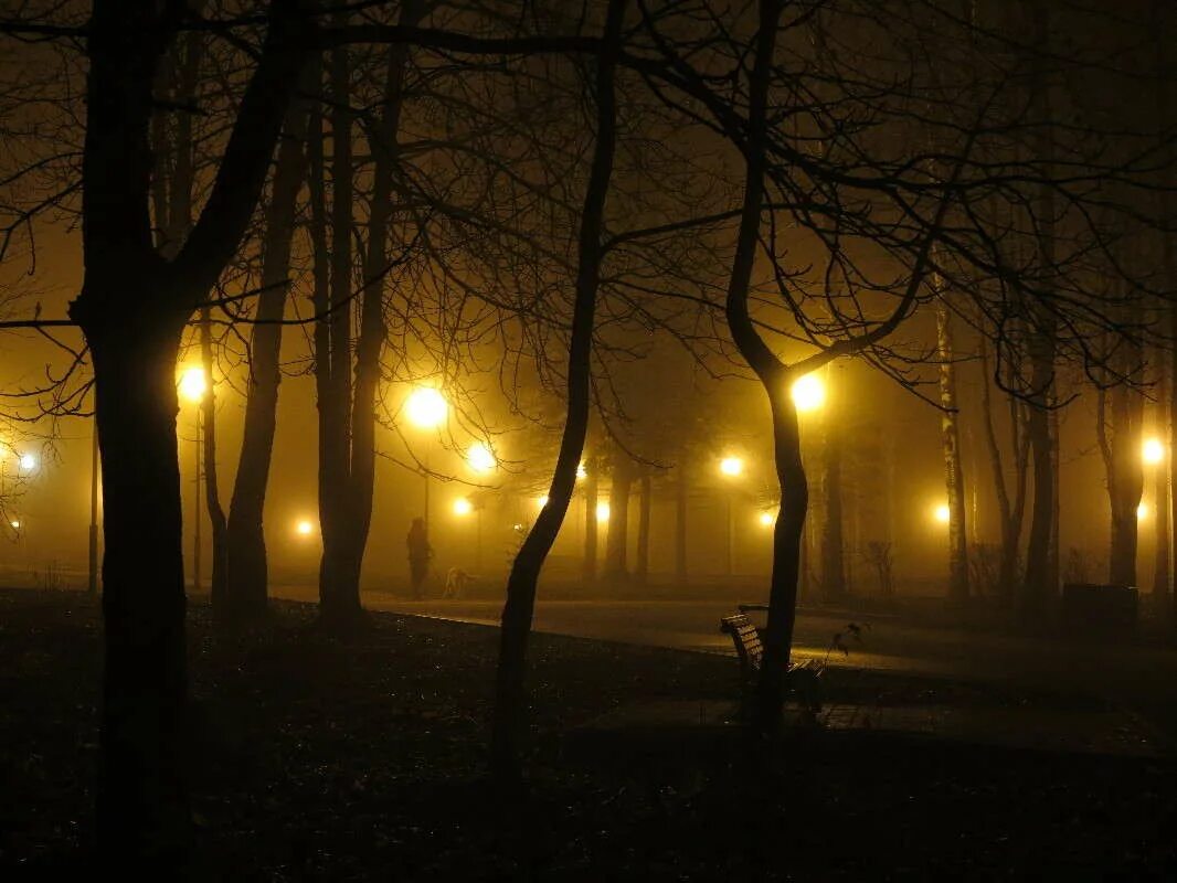 рассвет туман. позднее утро и ранний. здоровый сон. позднее утро и ранний. позднее утро и ранний.