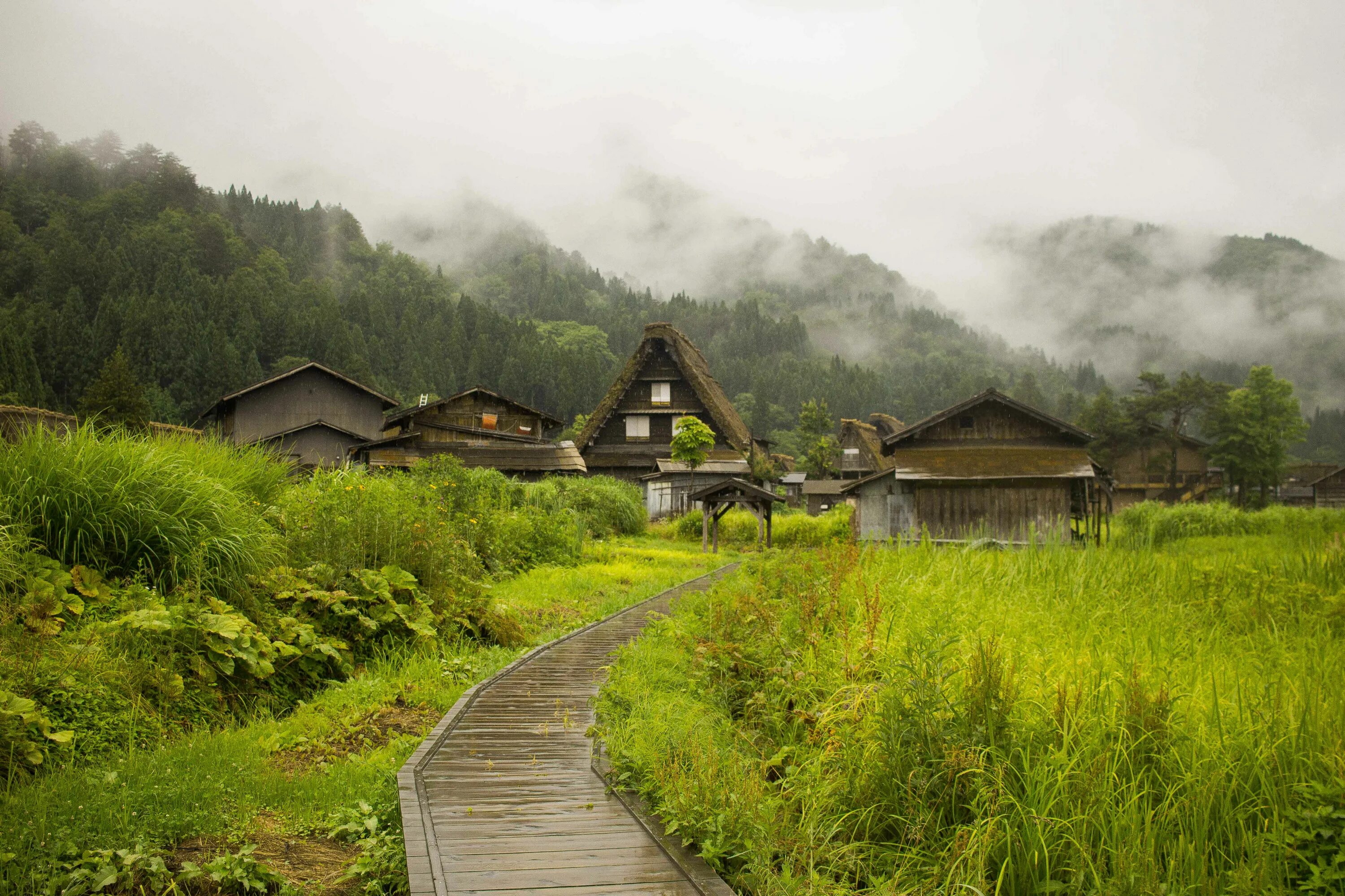 Japanese village. Сиракава-го Япония. Деревня Сиракава. Япония Эстетика деревня деревня. Киото Ширакава.