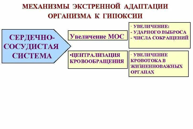 Централизация кровообращения при шоке обусловлена выбросом. Централизация кровообращения симптомы. Централизация кровообращения патогенез. Централизация кровообращения осложнение.