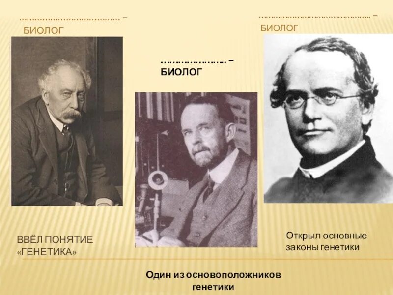 Мендель морган. Уильям бэтсон генетика. Ученый мендель и его открытия. Мендель морган. Закономерности наследственности установленные г менделем.
