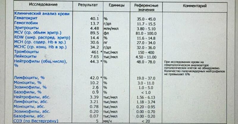 Лимфоциты АБС 0.90. Лимфоциты АБС норма. Лимфоциты в крови. Лимфоциты АБС норма у детей. Лимфоциты в крови 50 у мужчин