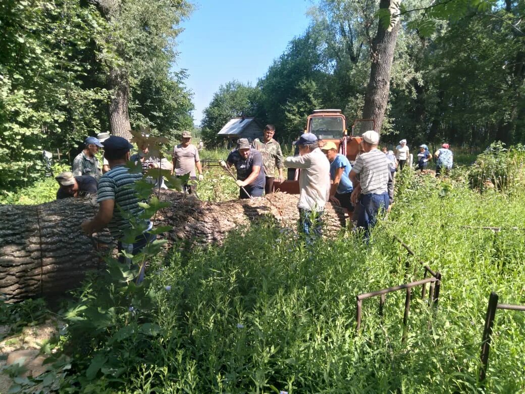 Большие шемердяны. Большие шемердяны. Погода большие шемердяны ядринский. Большие шемердяны. Село большие шемердяны чувашия.