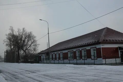 Быстрый исток алтайский