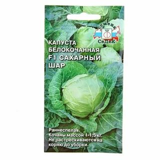 Сорт капусты сахарный хруст