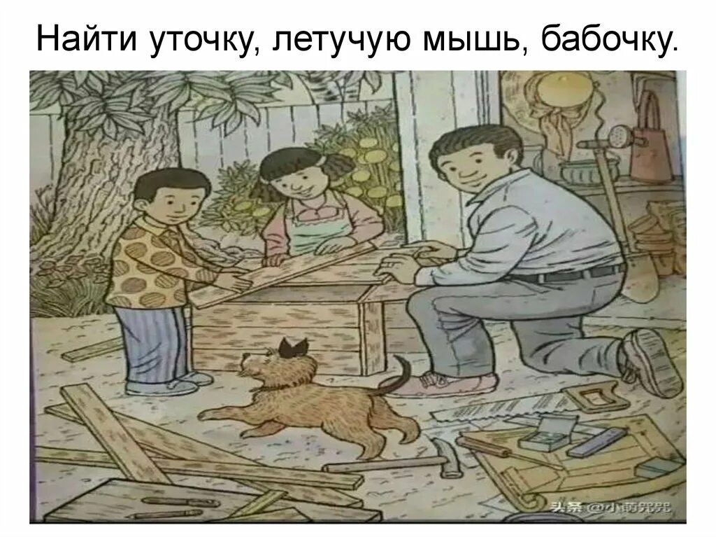 Картинка найти бабочку утку и летучую мышь. Картина бабочка летучая мышь и утка. Картинка найти бабочку утку и летучую мышь. Утенок бабочка летучая мышь. Бабочка утка и летучая.