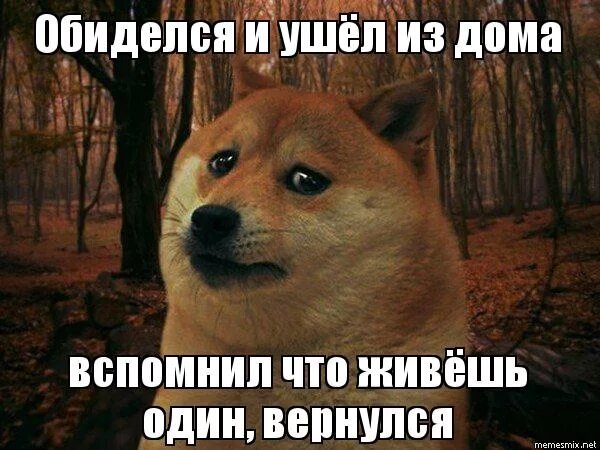 девочка обиделась. обидчивый ребенок. мемы обиделся. обиженная девушка. обижен окончание.
