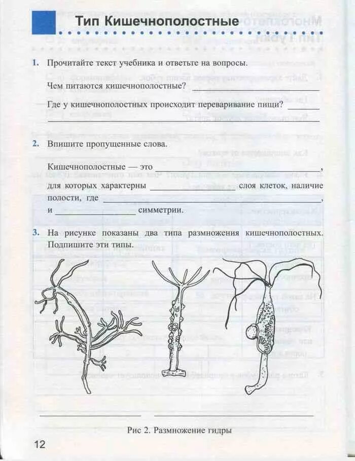 Тип кишечнополостные тест 2 вариант 2. Биология 7 класс тип кишечнополостные рабочая тетрадь. биология 7 класс тетрадь латюшин. рабочая тетрадь по биологии 7 класс тип кишечнополостных. задания по биологии 7 класс.