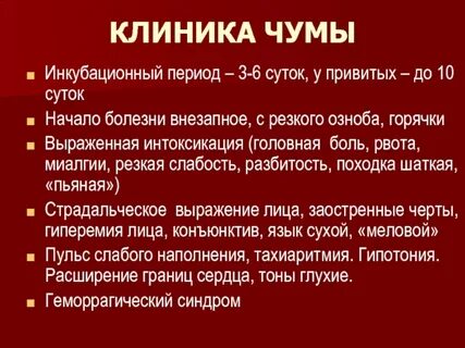 Чума заболевание вызываемое бактериями