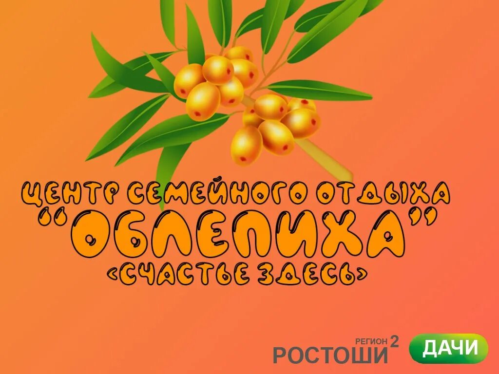 Снт облепиха оренбург. Облепиха Оренбург. Облепиха Оренбург комплекс. Облепиха 56 Оренбург. Облепиха Оренбург центр семейного отдыха.