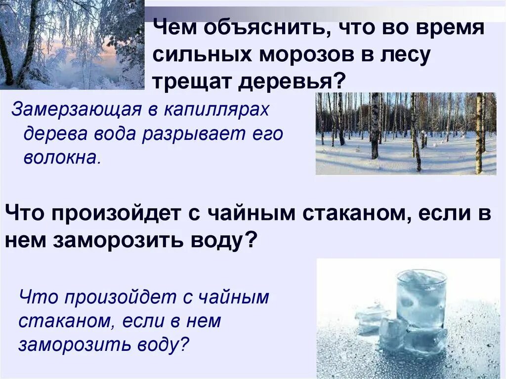 Трещал сильный мороз. Сильный Мороз в лесу. Деревья трещат от Мороза. Мороз трещит в лесу. Особенности сильных Морозов.