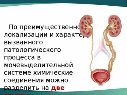 В почках происходят процессы