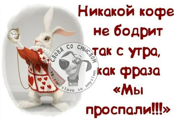 Текстура кофе в чашке. Почему кофе бодрит. Кофе бодрит. Правда что кофе бодрит. Кофеин в какао.