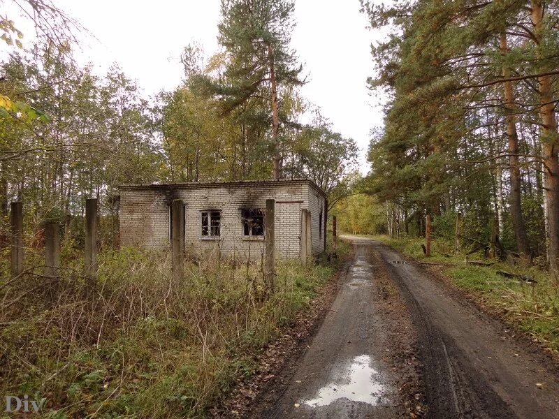 Лесное васкелово. Заброшенная воинская часть ЗРВ (Ганнибаловка). Ваганово 2 Ленинградская область в/ч 28036. 28036 Воинская часть Ваганово. Военная часть Ваганово Ленинградская область.