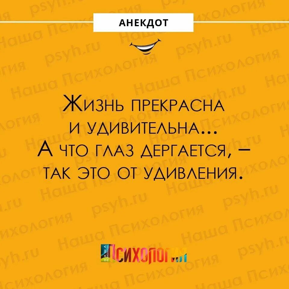 Новая жизнь прикол. Анекдоты про жизнь. Интересные анекдоты про жизнь. Шутки про жизнь смешные. Анекдот за жизнь.