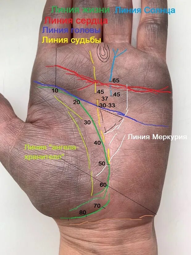 Покажи линию жизни