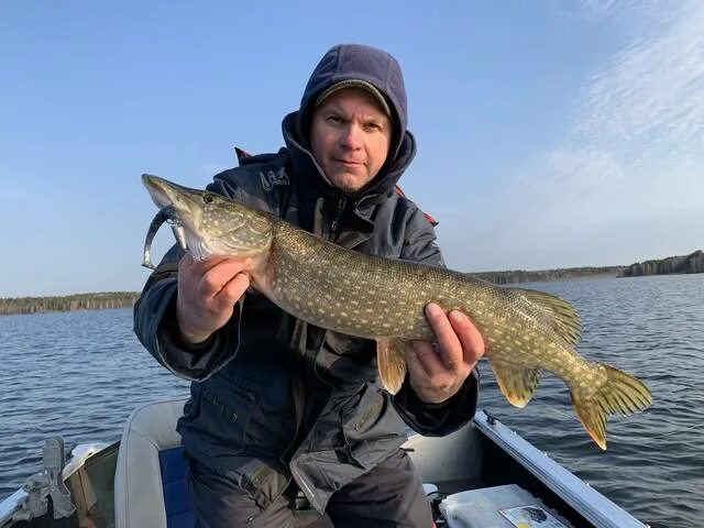 Рыбалка на белоярском водохранилище в контакте. Белоярское водохранилище рыбалка. Рыбалка на Белоярке. Рыбы Белоярского водохранилища. Рыбалка на Белоярке ВК.