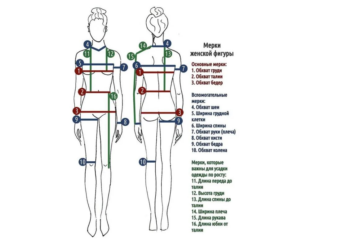 Мерки женской фигуры