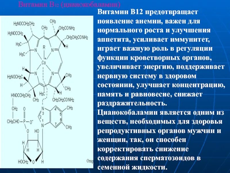 Витамин в 12 для чего нужен организму. Биологическая роль витамина витамин в12. Витамин б12 биохимия. Биологическая функция витамина б12. Витамин б12 функции.