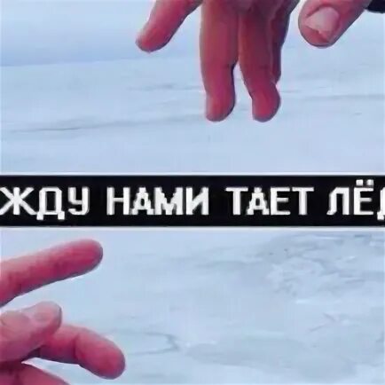 Нами тает лед никто не найдет