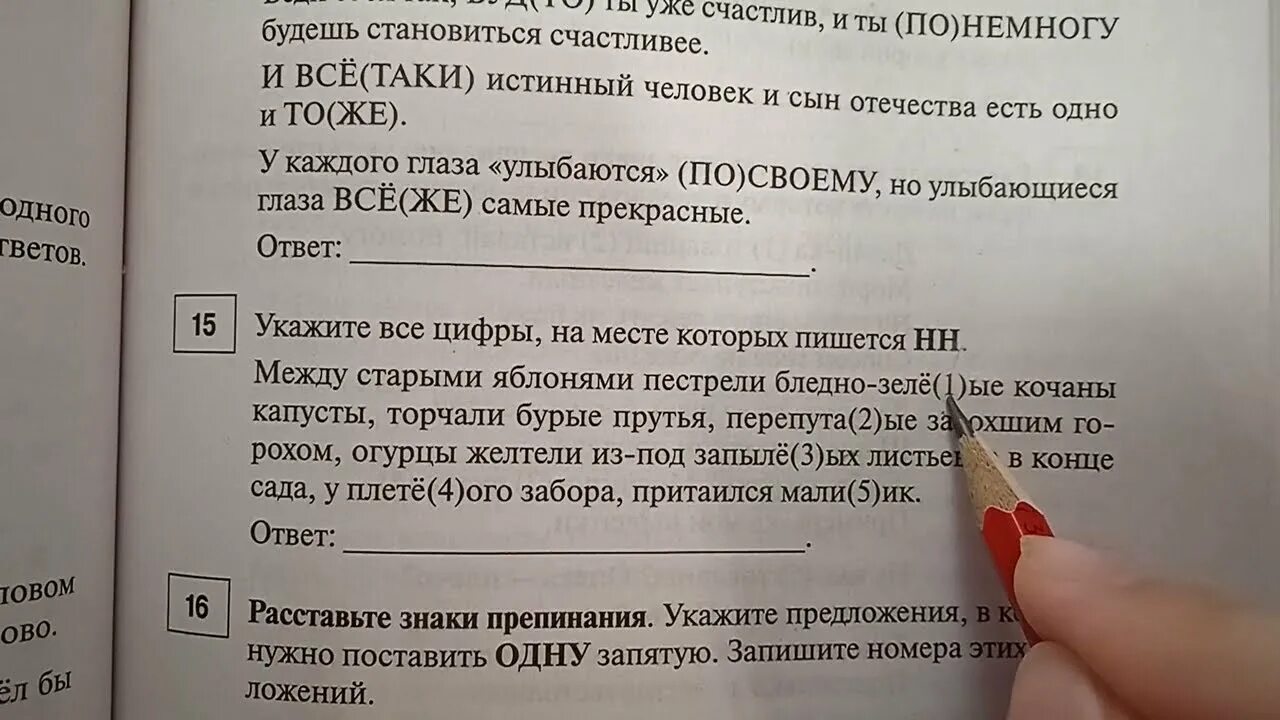 Н и нн 15 задание егэ. Теория 15 задания ЕГЭ по русскому. 15 Задание ЕГЭ русский. Теория 15 задания ЕГЭ по русскому 2022. 15 Задание ЕГЭ русский язык.