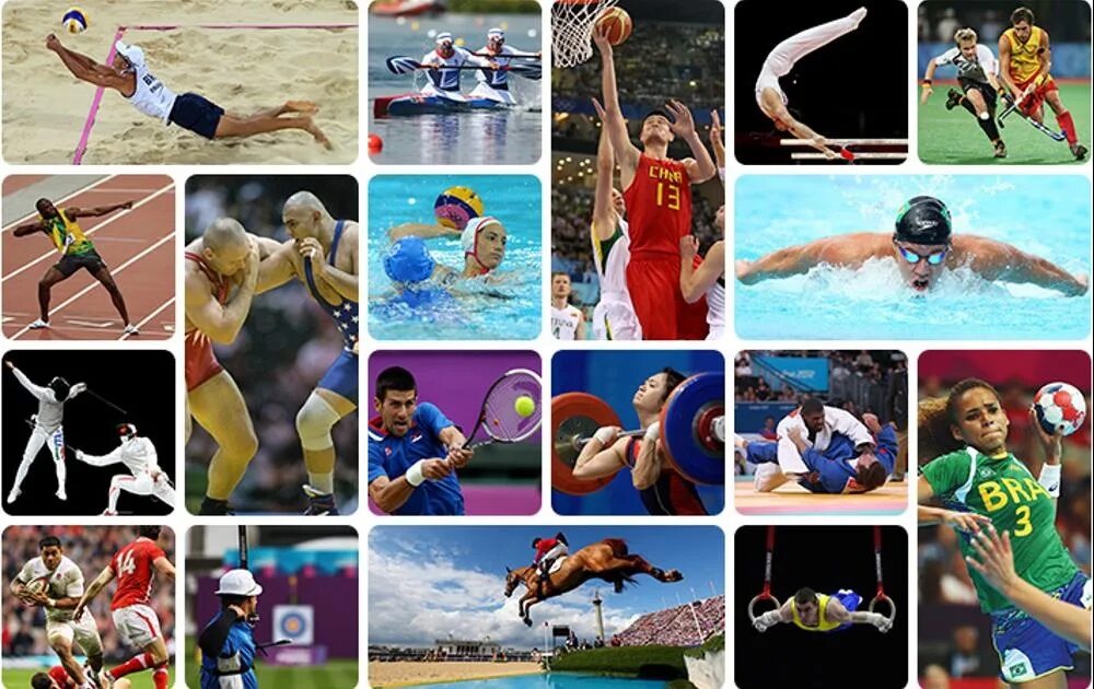 Вид спорта фоки. Вид спорта фоки. Символы видов спорта. Спортсмен на коньках. Шорт-трек сочи 2014.