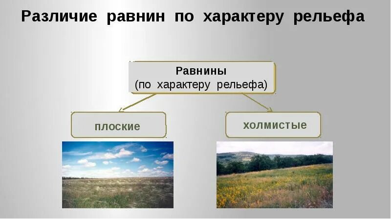 Какие бывают равнины по внешнему виду. Плоские и холмистые равнины. рельеф равнины.