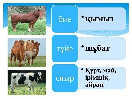 Смотреть онлайн Дарья Сагаловамен интимді сәттер